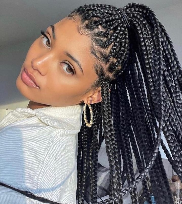 2025 Braided Hairstyles for Stylish Women (23)