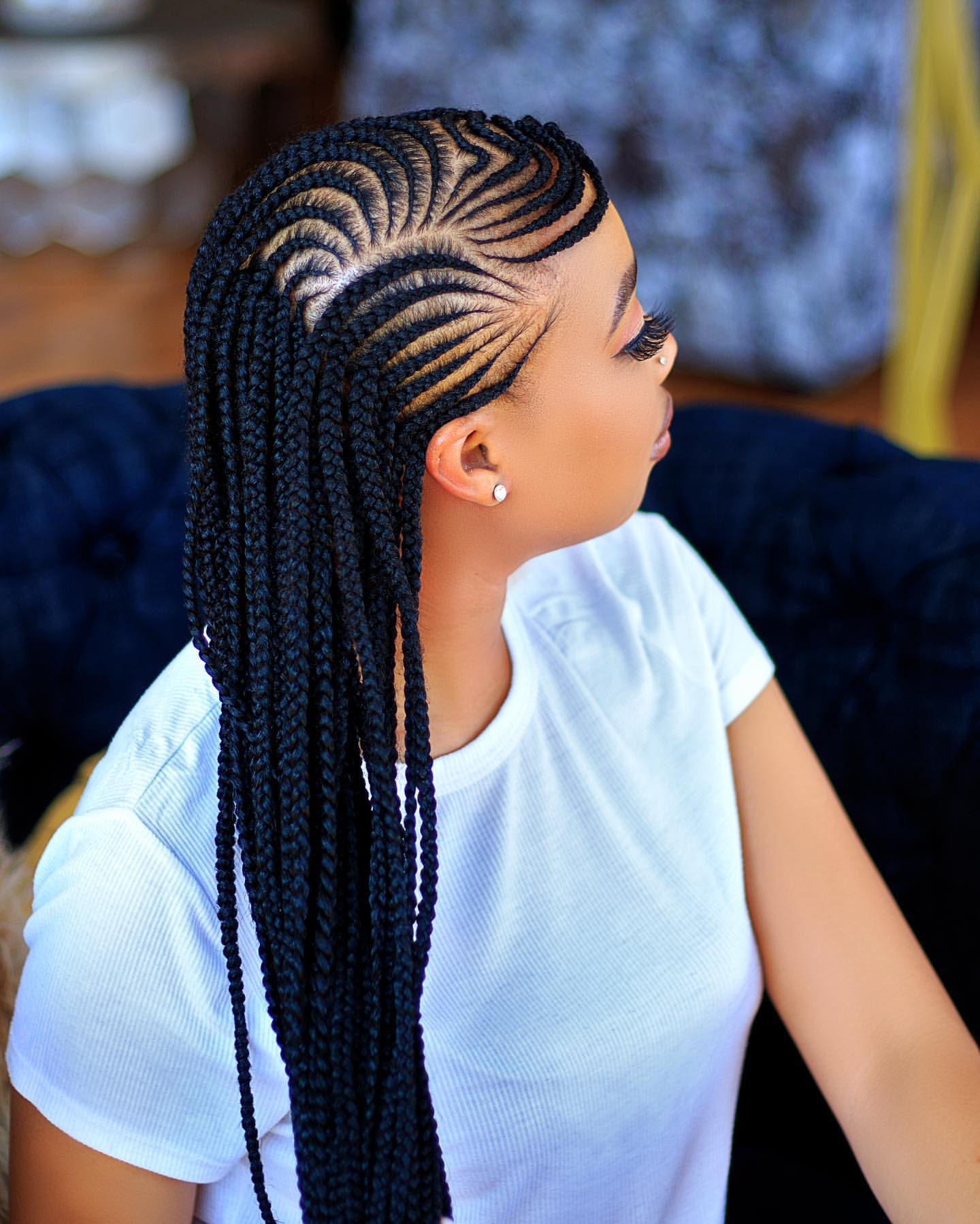 Braided Hairstyles 2024 A Gallery of Stunning Looks+ (23)